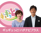 メディア紹介